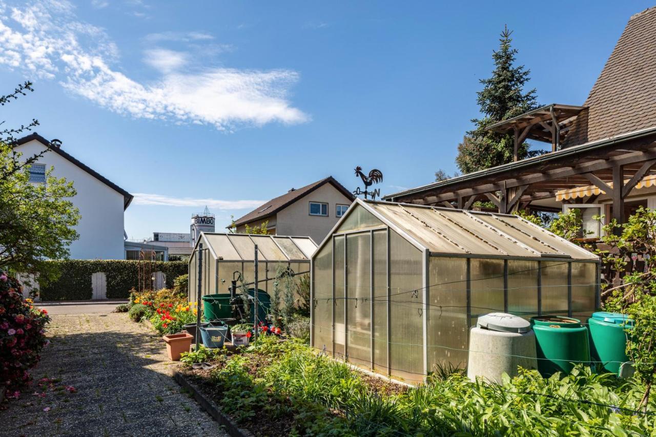 Ferienwohnung Trixi Sexau Buitenkant foto